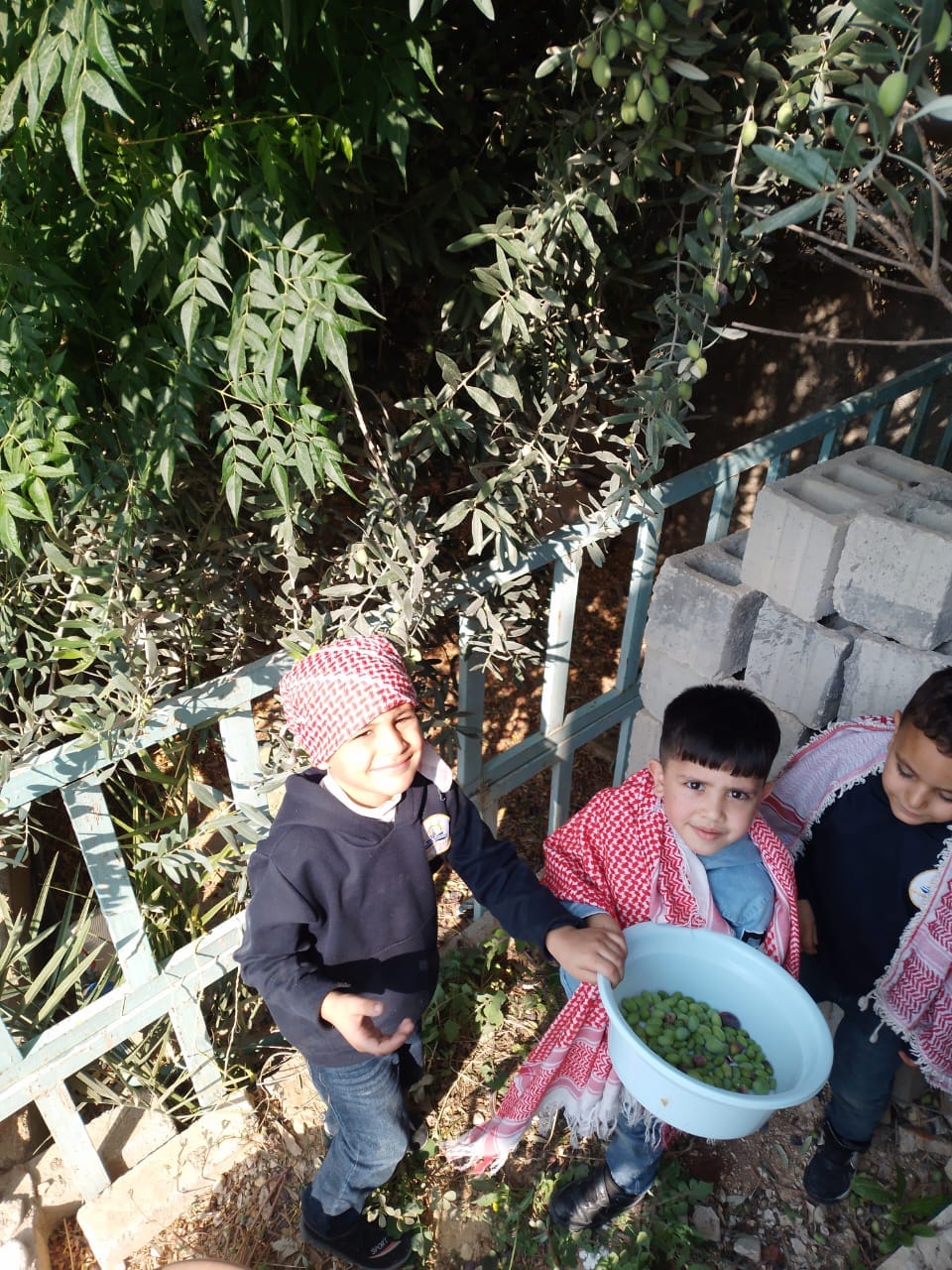 زيتونات روضتنا 🌿 🫒