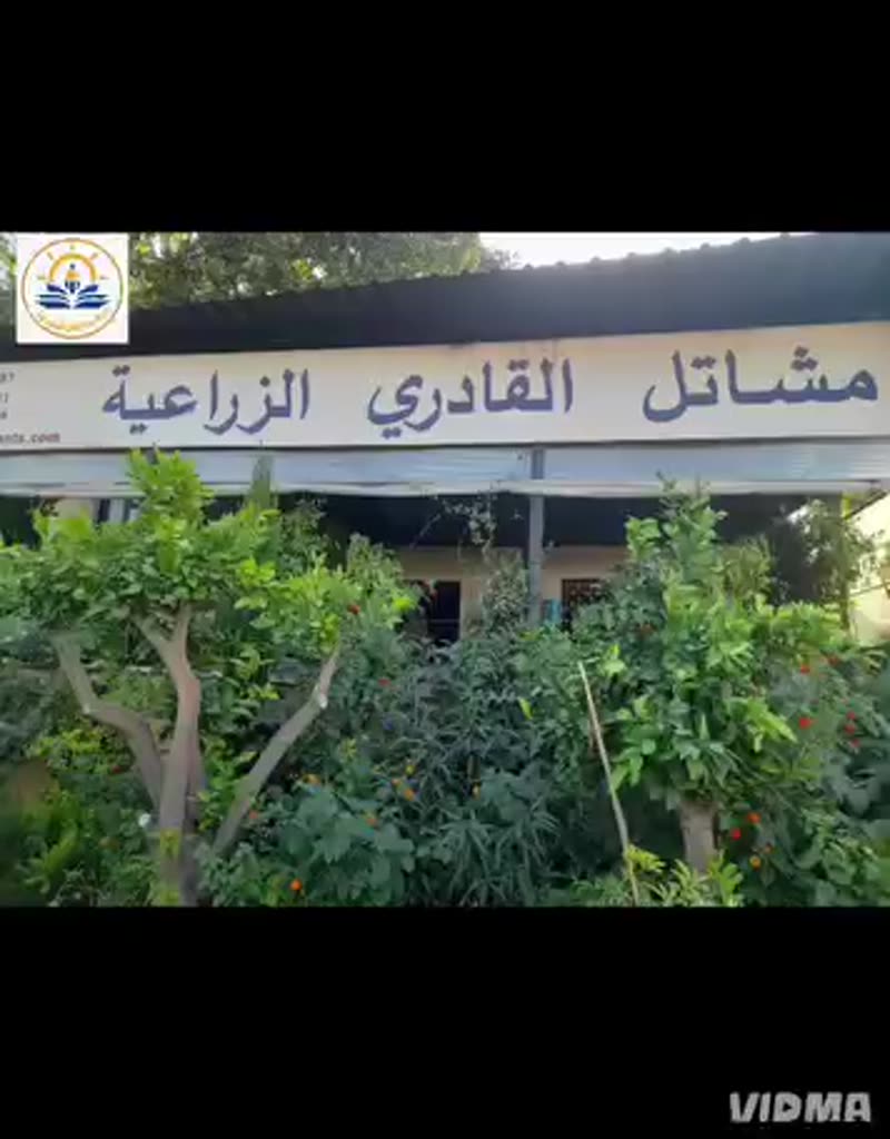 🌿✨ يوم ممتع في رحلتنا إلى المشتل "يلا مشتل"! ✨🌿