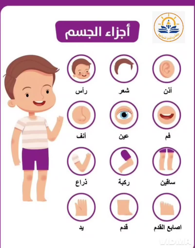 منتسوري التعرف على أعضاء الجسم من خلال اللعب 🥰😍